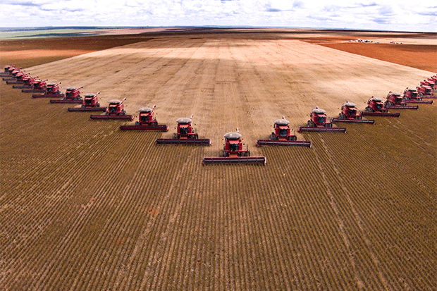 agricultura extensiva e intensiva