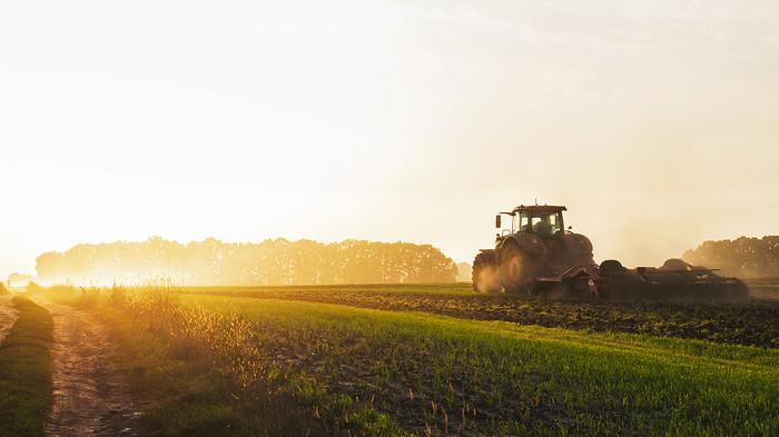 Qual é a importância do preparo do solo para a agricultura?