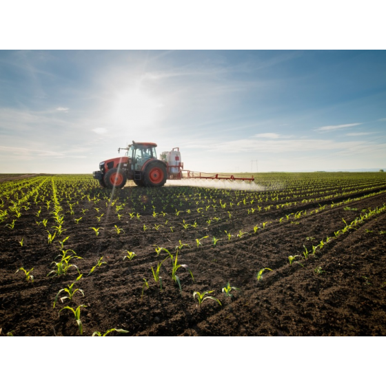 SAIBA COMO É POSSÍVEL ALIAR PRODUÇÃO AGRÍCOLA E BIODIVERSIDADE