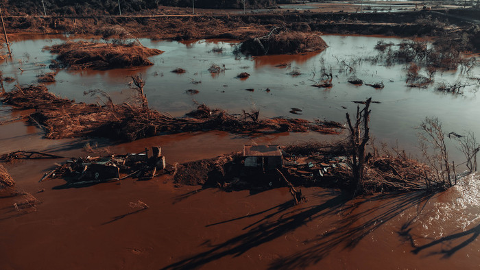 Desafios da safra de inverno 2024 após chuvas no RS