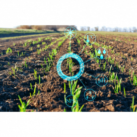 ENTENDA COMO É APLICADA A INTERNET DAS COISAS NA AGRICULTURA